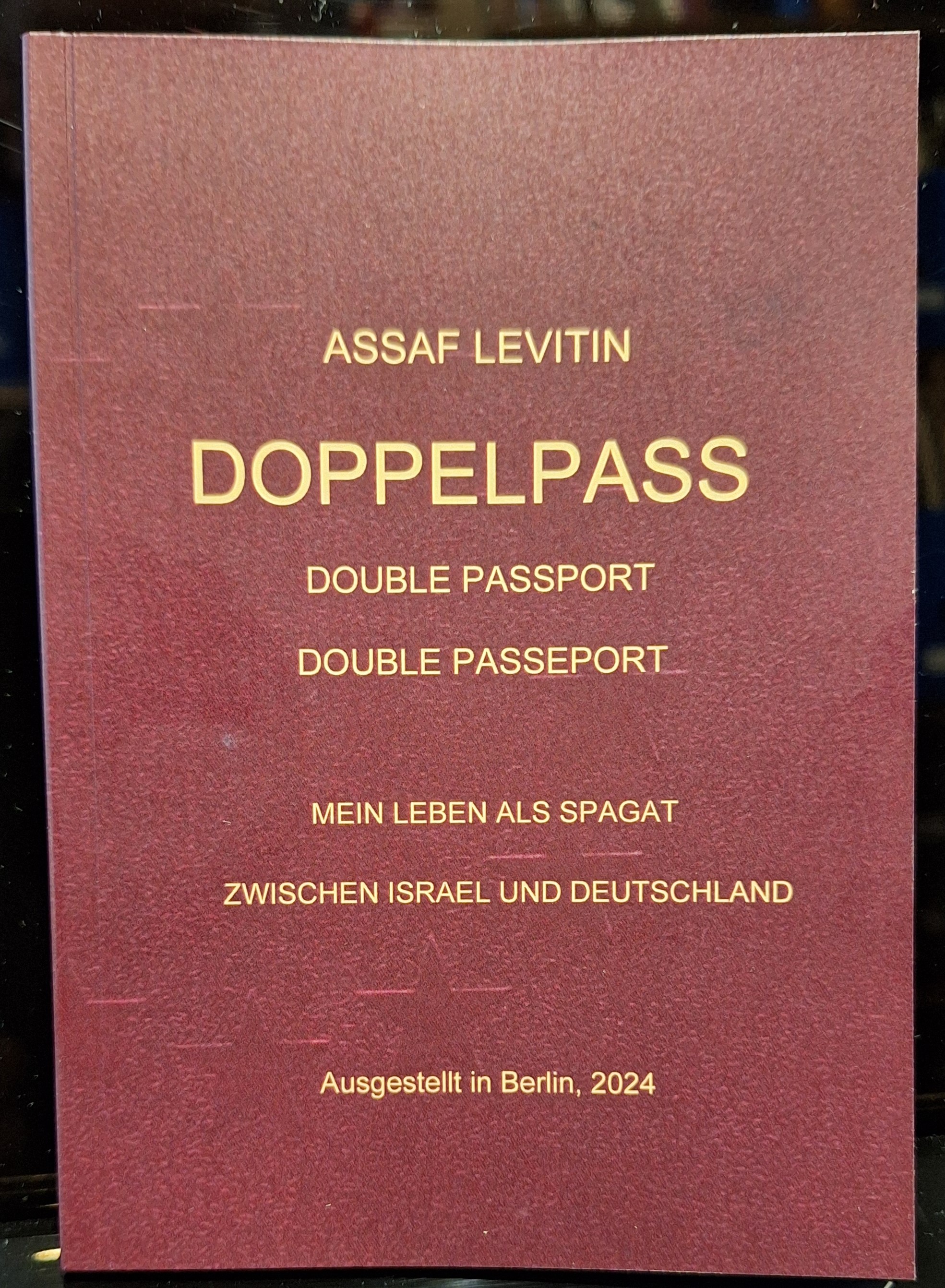 /UserUploadFiles/assaf-levitin/doppelpass-cover.jpg